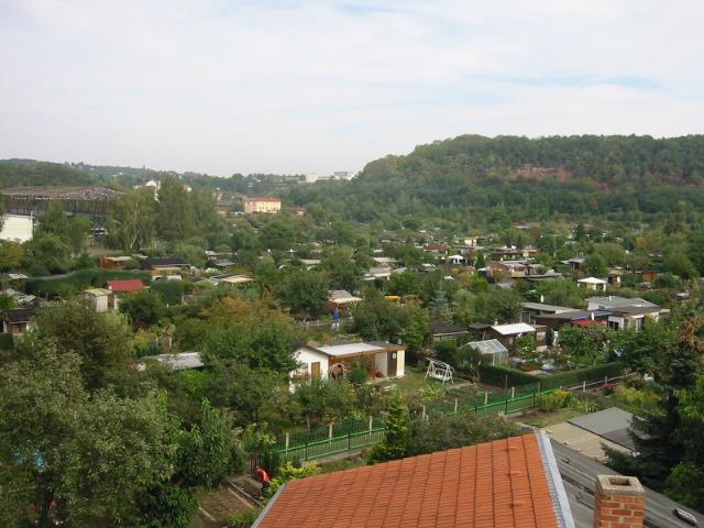 Gartenanlage hinter dem Haus
