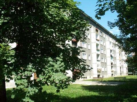Etagenwohnung Altenburg - 2 Zimmer, 47 m&sup2;, 330&euro; | Angebot:27054991
