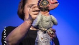 Der kleine hässliche Vogel