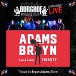 Adams Brayn