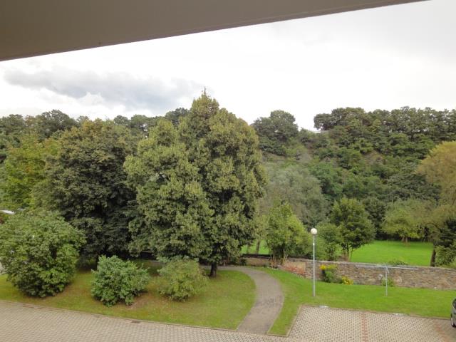 Grundstück hinter dem Haus